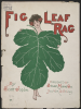 Fig Leaf Rag